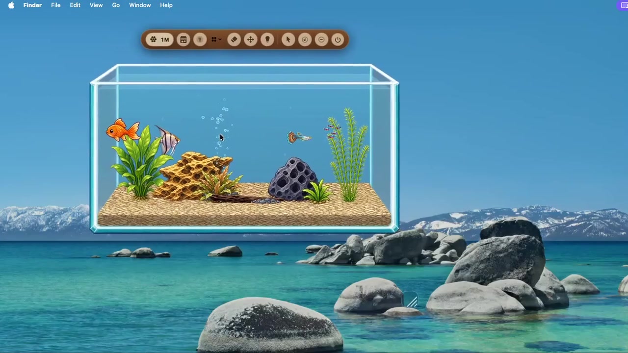 Pebble Reef desktop aquarium video poster